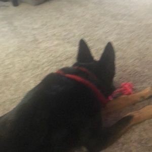 Meet your Posher, Brad